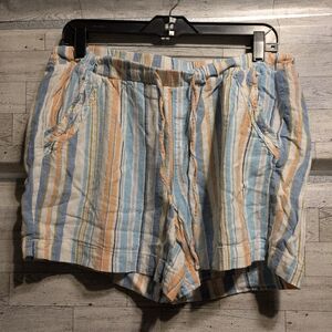 Briggs New York Multicolor Striped Shorts